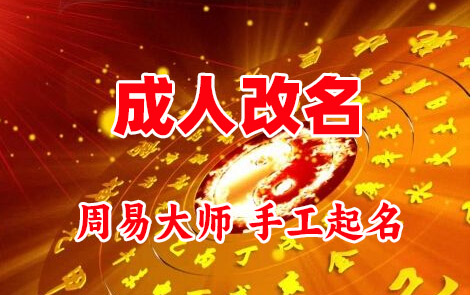 梧州市成人改名-找大师一对一改名先分析后改名